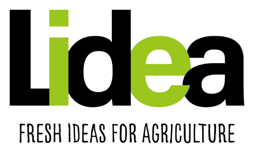 Lidea